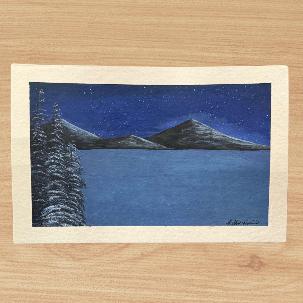 Winter Night Landscape