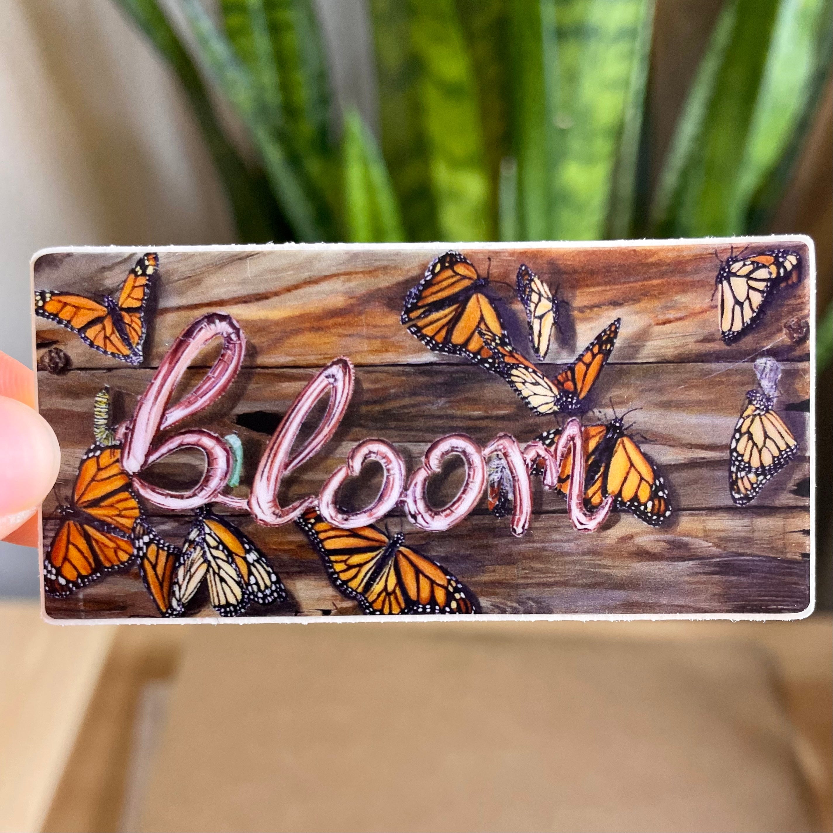 Pegatinas de grado B