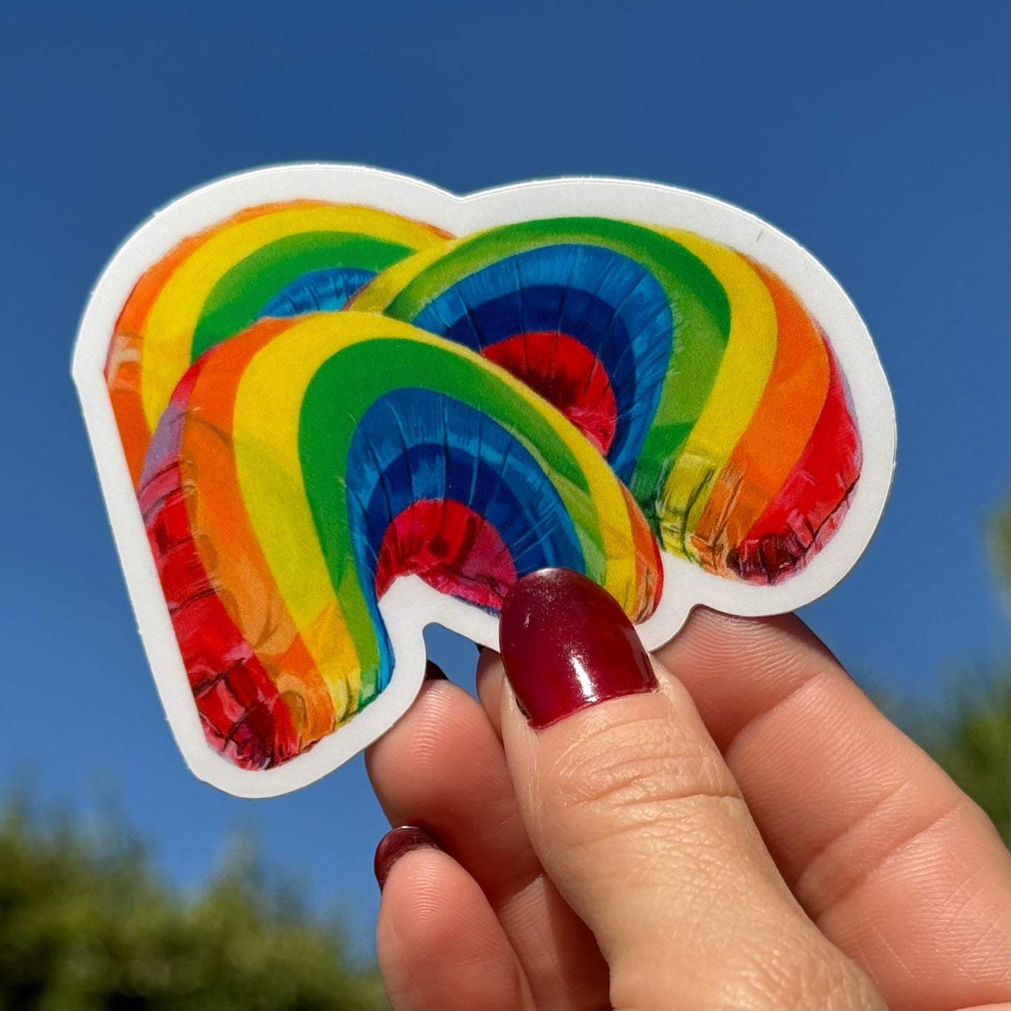 Chasing Rainbows Sticker