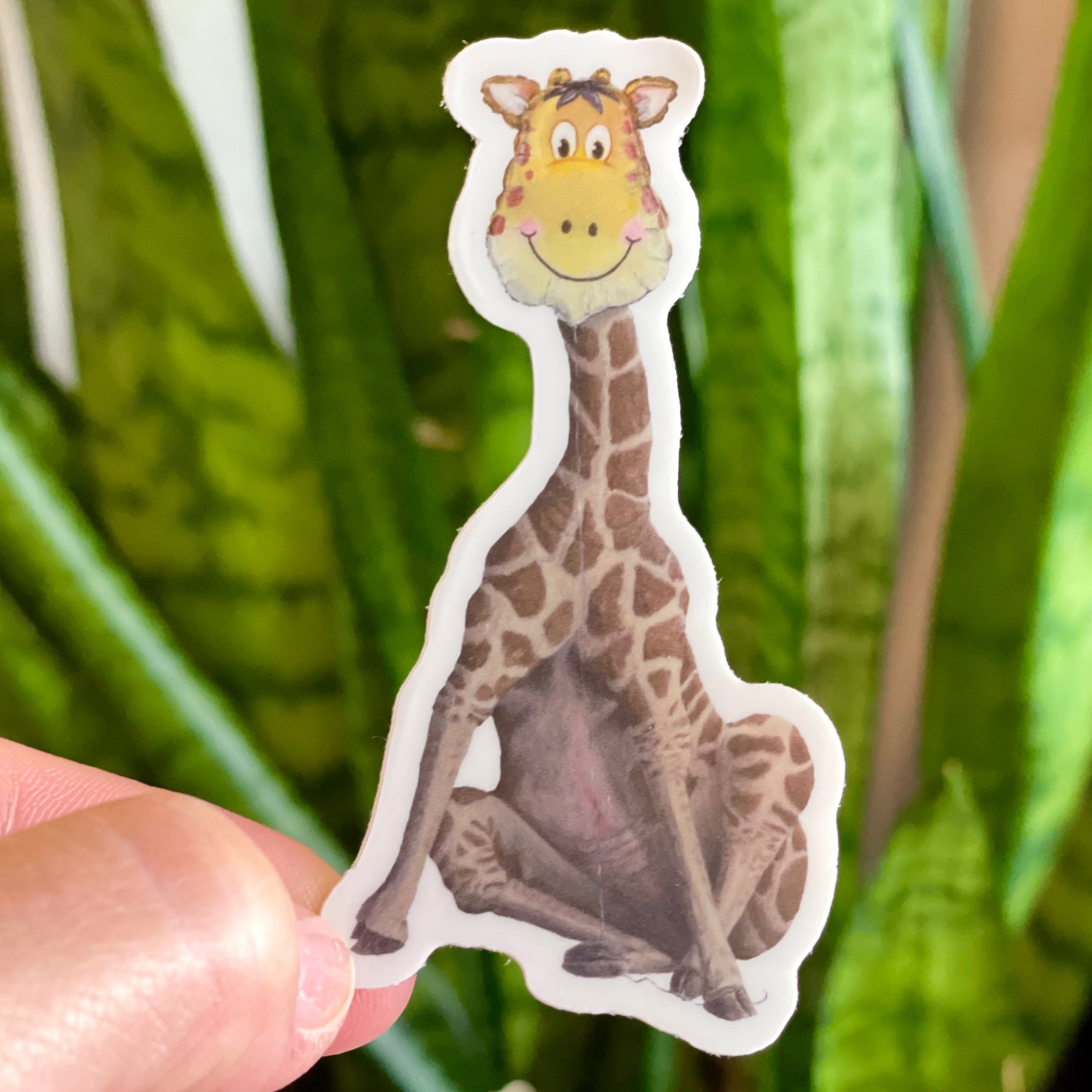 Pegatinas de grado B