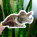 Pegatinas de grado B