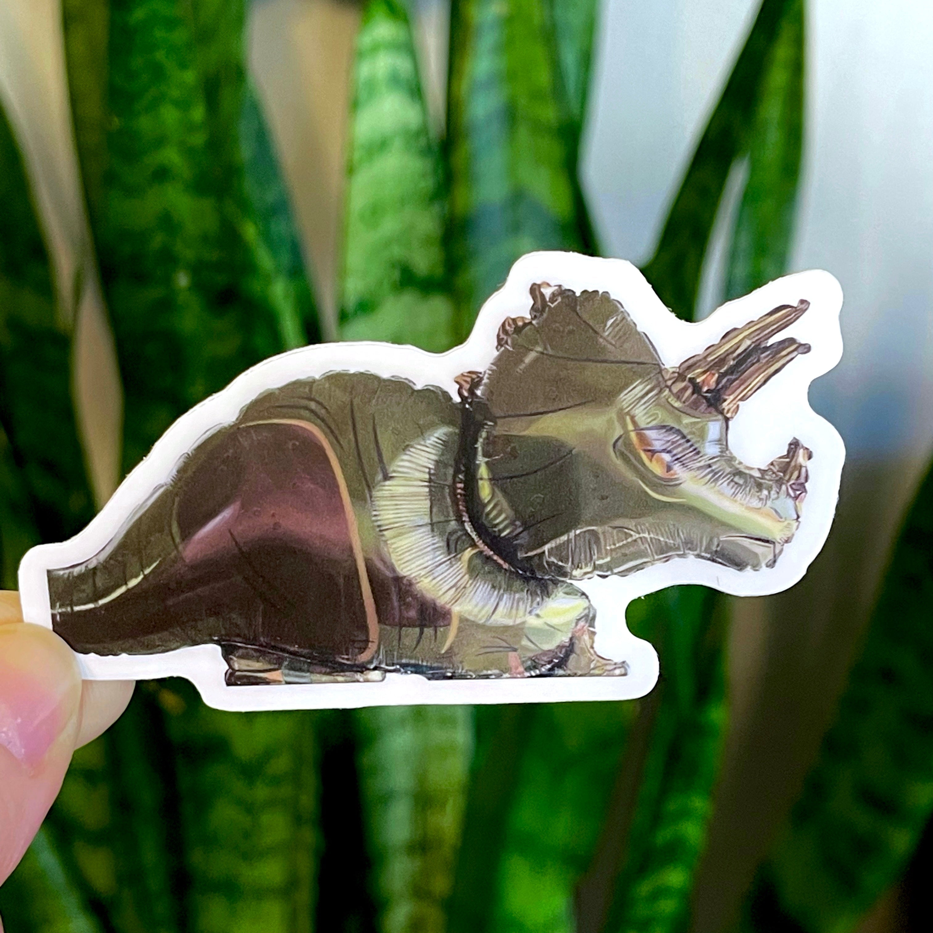 Pegatinas de grado B