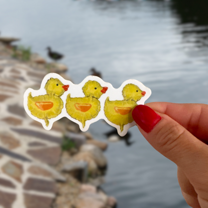 Ducks in a Row Sticker