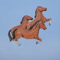 Hold Your Horses