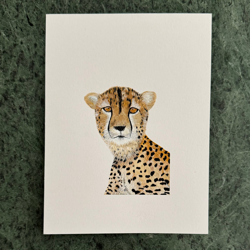 Animal Paintings