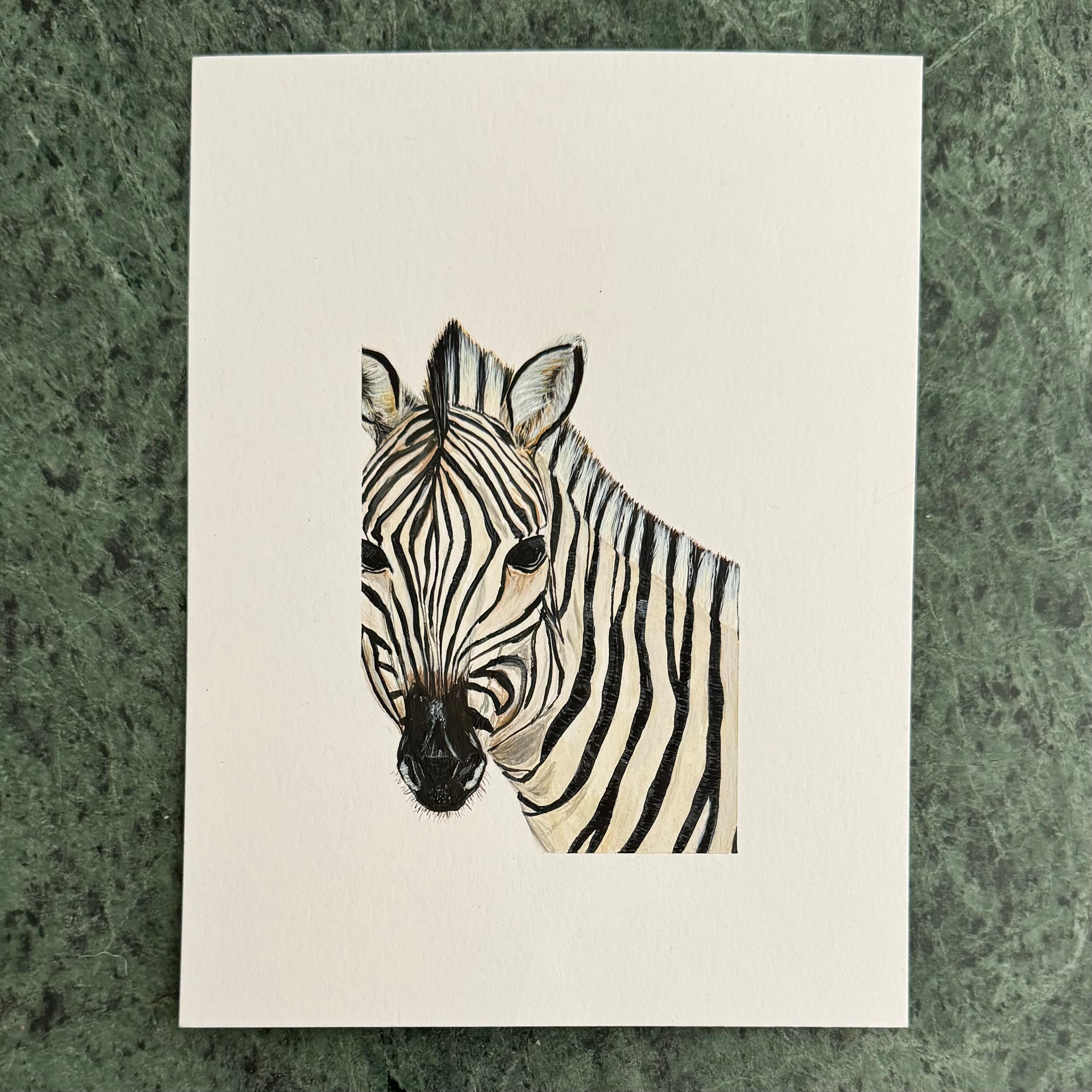 Animal Paintings