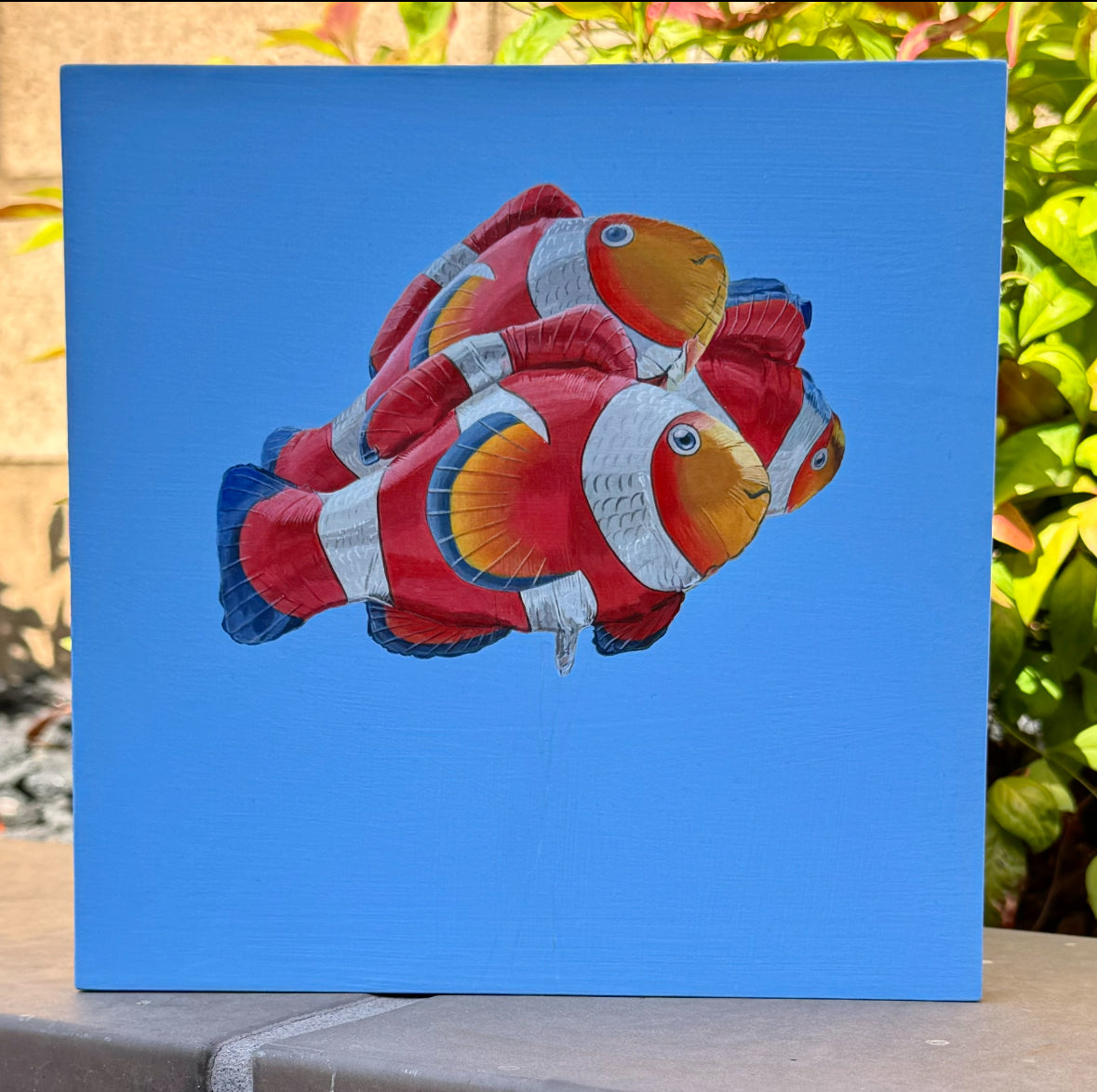 Fish Out Of Water