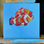 Fish Out Of Water