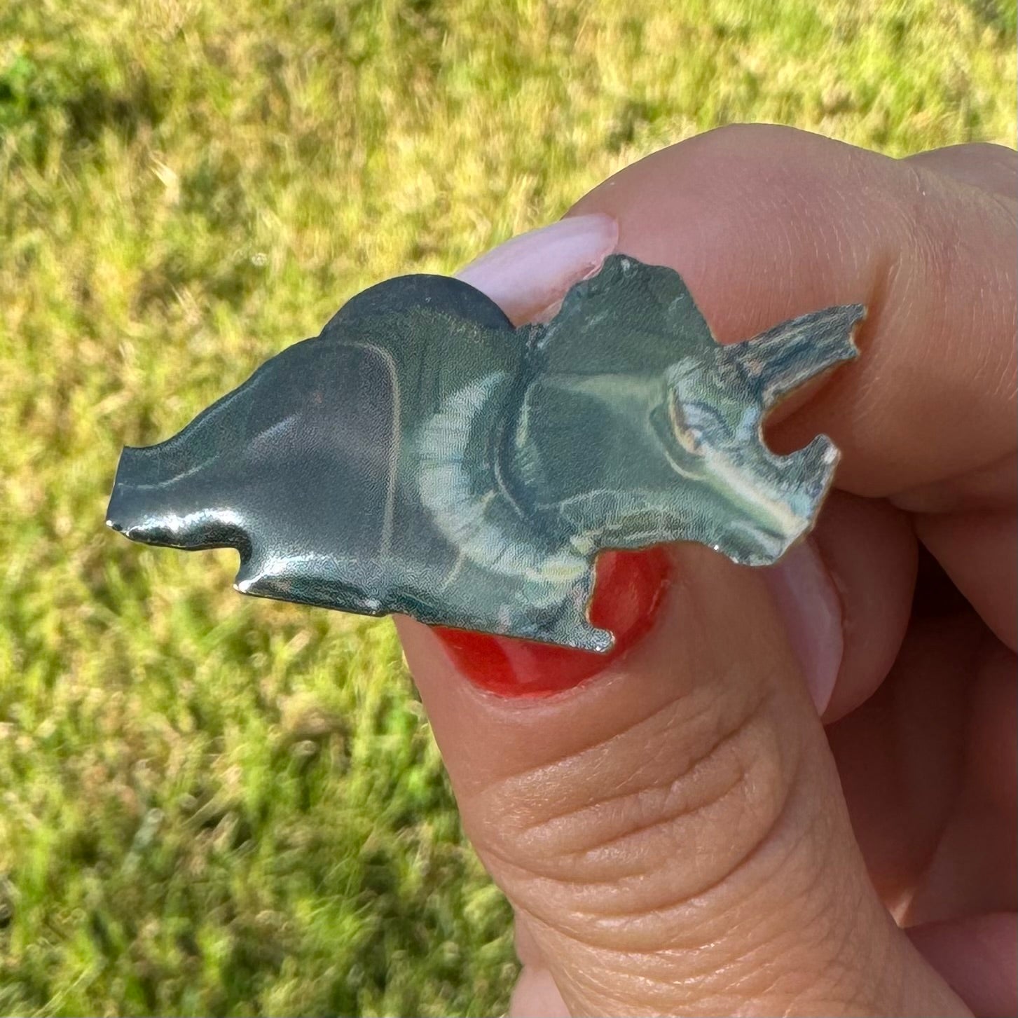 Dinosaur Limited-Edition Enamel Pin