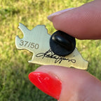 Pin de esmalte de dinosaurio